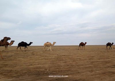iran desert trekking