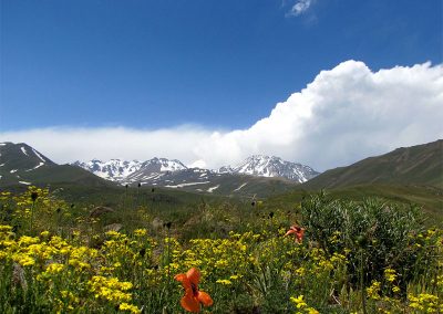 sabalan trekking tour