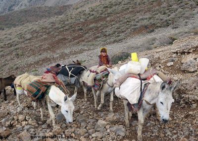 zagros trek