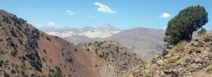 Alamut trekking